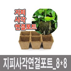57e13429-59a6-4574-a2af-e544d5fae5ee.jpg