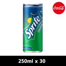 스프라이트 캔, 250ml, 30개