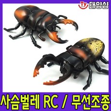 사슴벌레rc