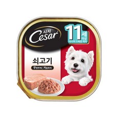 시저코리아스캐너