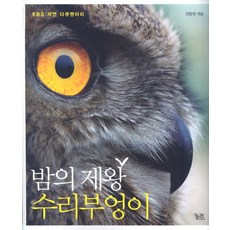 수리부엉이
