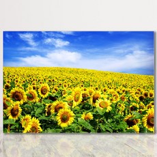 디에스리빙 액자테이블 밥상 12종 L 800X600, 푸른 하늘 해바라기