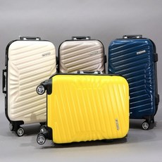 아놀드바시니캐리어