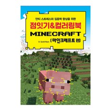 점잇기마인크래프트