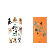 인기강아지도감174