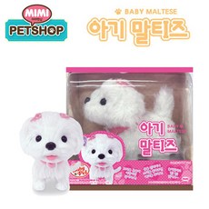 한국슈테른가베