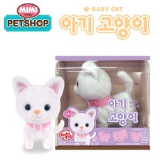 한국슈테른가베