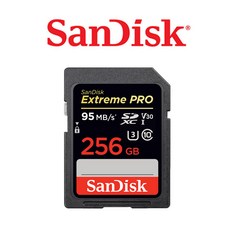 샌디스크익스트림프로256g