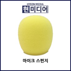 마이크캡