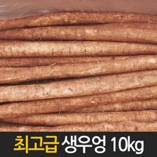 우엉 국산 수입 특품 생우엉 10kg 4kg내외, 1개, 1번-중국산 생우엉 10kg