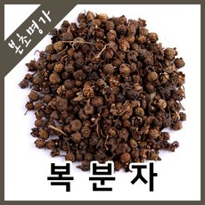 국순당명작복분자