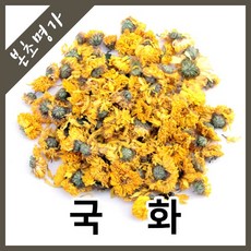 본초명가 감국 국화 국화꽃 황국화, 600g, 1개