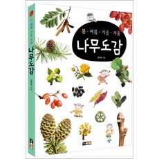 가을나무동화