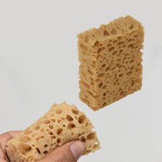 레디백스펀지
