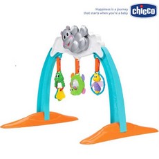 치코디럭스아기체육관