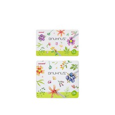 모나미바우하우스색연필