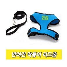 반려견 막둥이 리드줄 목줄 애견 용품