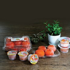 경북청도 씨없는 아이스홍시 700g6입 8팩(48EA)(비탈피), 1박스, 700g6입/8팩(48EA)
