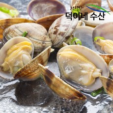 //상품명