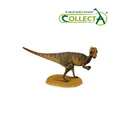 파키케팔로사우루스피규어