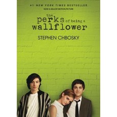 [해외도서] The Perks of Being a Wallflower, Mtv Books