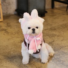 강아지루돌프모자