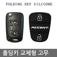엑센트네비매립
