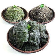 꼬들꼬들한 국내산 국내산 꼬시래기 미역줄기 다시마 4kg, 1박스, 01_꼬시래기 4kg