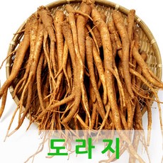 국내산 도라지4kg 싱싱한 흙도라지, 국내산 도라지4kg(특품), 1개