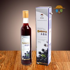 순창블루베리체험