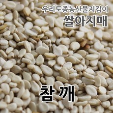 2022년참깨