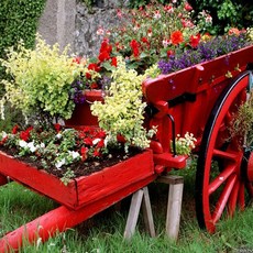 가든파티프래그런스오일