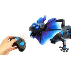 rc뱀