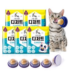 //상품명