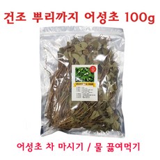 국산 뿌리까지 어성초 차 물끓여먹는 건조, 100g, 1개, 1개