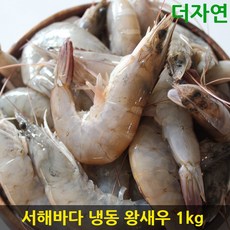 소래포구새우