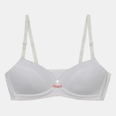더데이걸솔리드