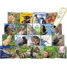 올챙이자연동화