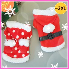 강아지크리스마스포토존