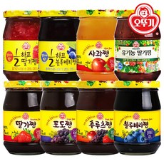 오뚜기 포도 사과 딸기 블루베리 쨈 과일잼 골라담기 14종, 포도쨈 500G