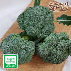 하늘농부 친환경 브로콜리 1입, 1개