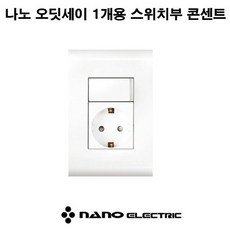 스위치대여