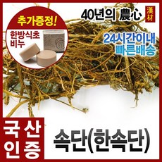 속단