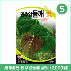 5ec6178e-969b-4c17-be37-ed7d28e34e22.jpg