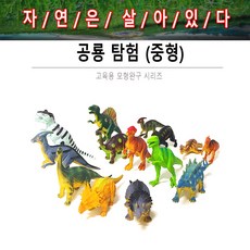 공룡탐험