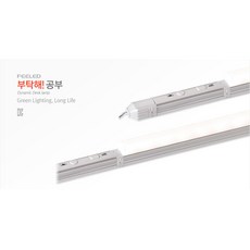 필룩스