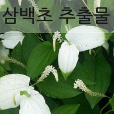 4c43f343-5e57-444b-acde-304349e55fc2.jpg