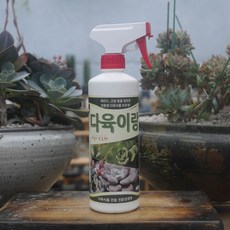 가지5kg(보통
