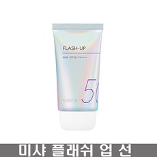 미샤플레쉬업