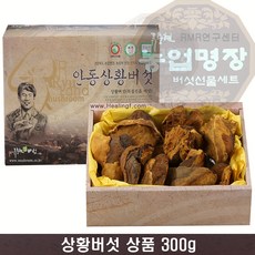 장수상황버섯 상품300g, 1개, 300g